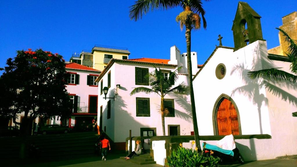 une maison blanche avec un palmier en face dans l'établissement Apartments Madeira Santa Maria, à Funchal