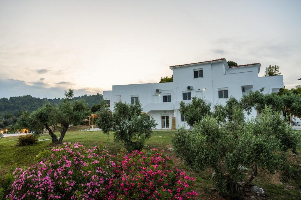 Kebun di luar Cape Blue Suites