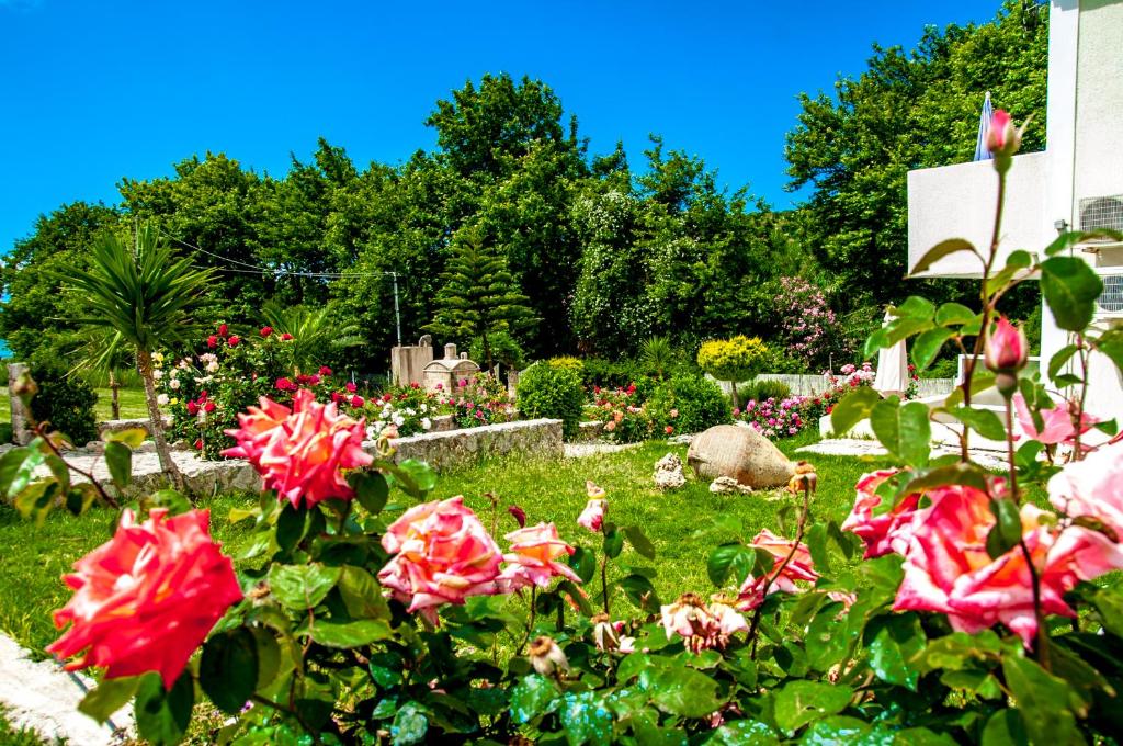 a garden with red roses in a yard at Dreams Apartments - Katelios,Santa Barbara beach in Katelios