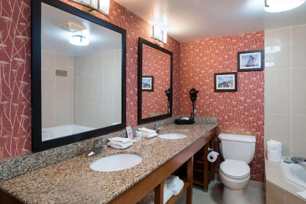 Comfort Suites Suffolk - Chesapeake photo