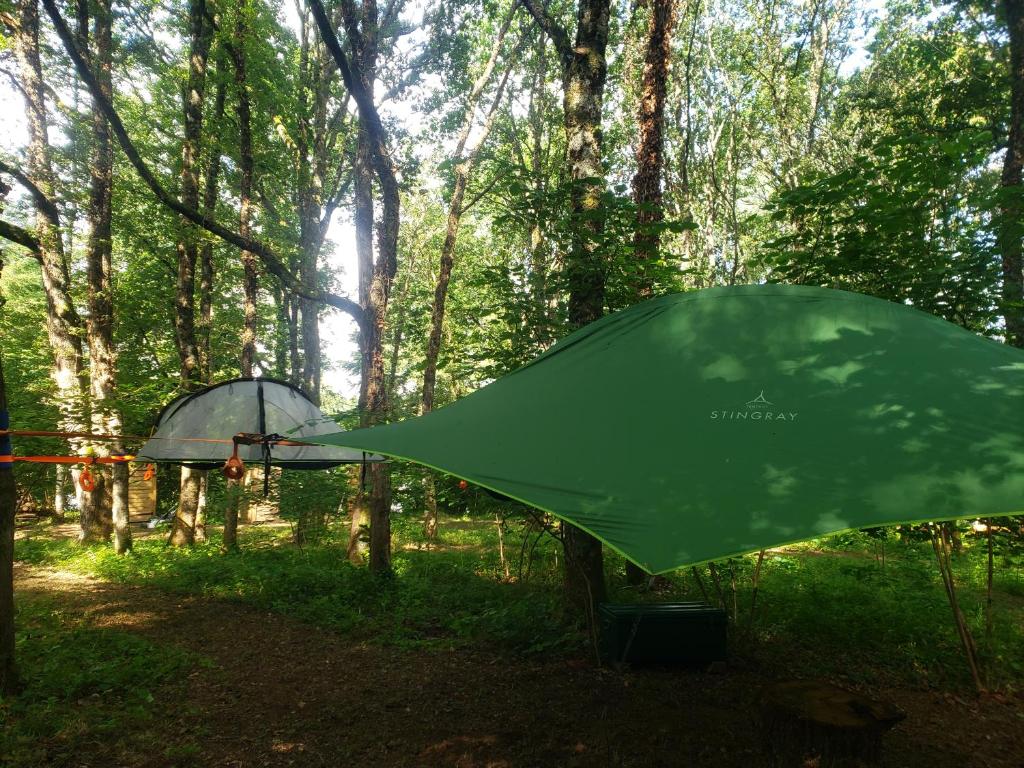 uma tenda verde na floresta com um guarda-chuva em D'En Haut tentes suspendues em Saint-Pardoux