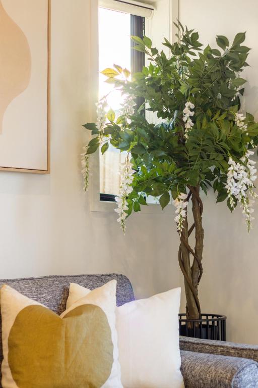 Large trendy 3 Bedroom Residence, Central City - Resim 13