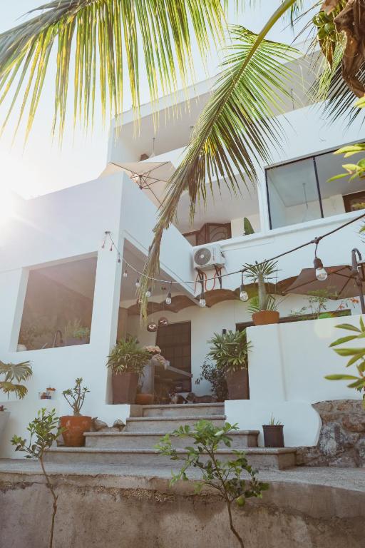 a white house with potted plants on the stairs at Casa Fenix in Sayulita