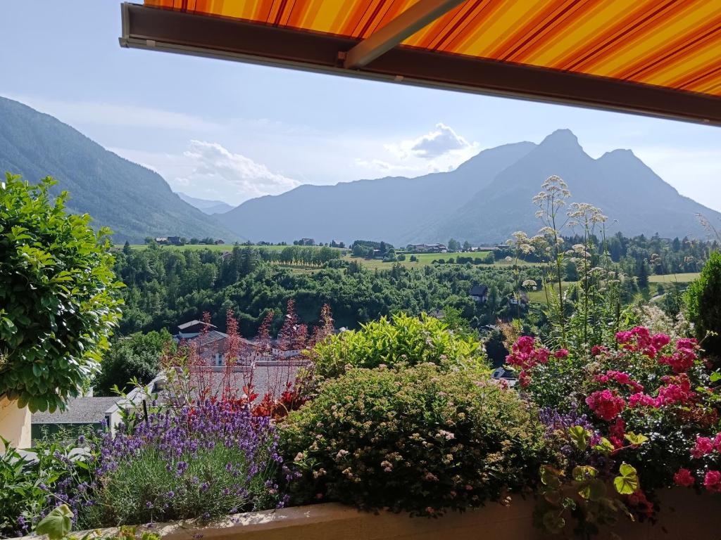 a view of mountains from a garden with flowers at Ferienwohnung "Kaiserblick" in Bad Aussee