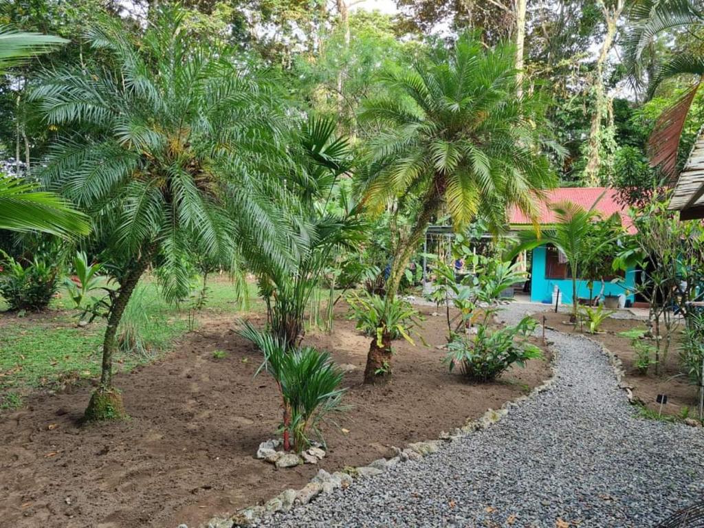Zahrada ubytování Mono Azul Cahuita
