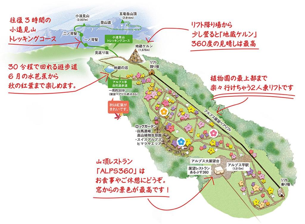 Fotografie z fotogalerie ubytování Pension Risuno Koya v destinaci Hakuba
