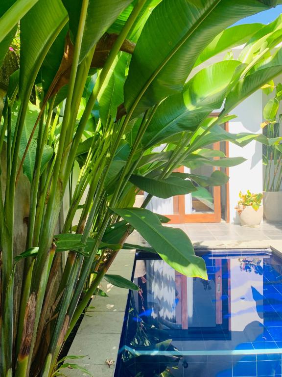 Mewali Villa's - Villa With Garden View