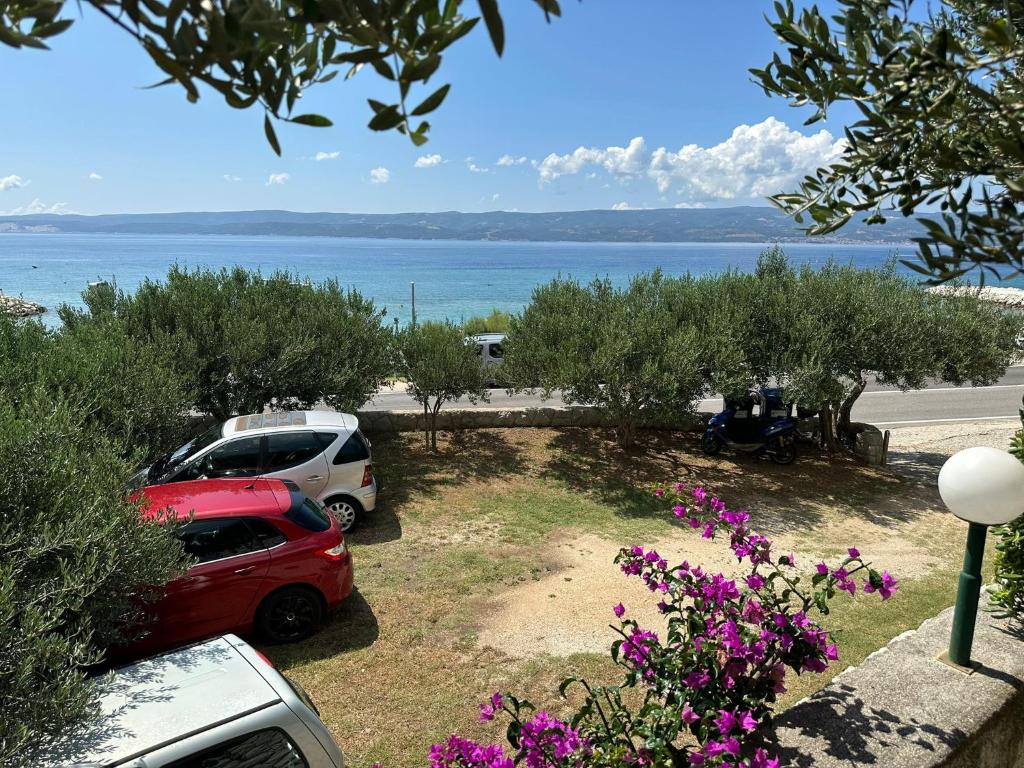 Príroda v okolí apartmánu