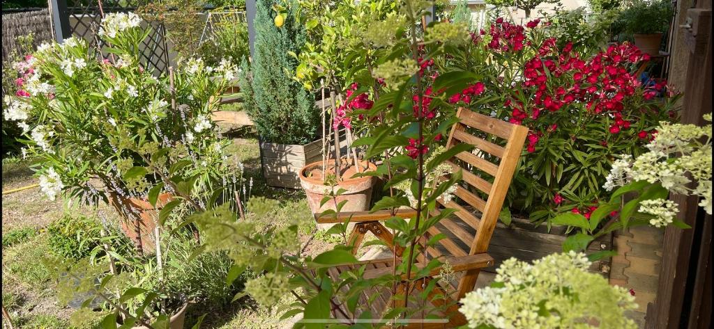 un jardín con flores y una silla de madera en Une envie de montagne, en Guillestre