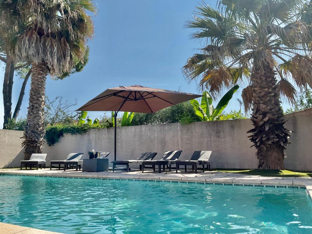 a pool with chairs and an umbrella and palm trees at Villa 11 personnes in Saturargues