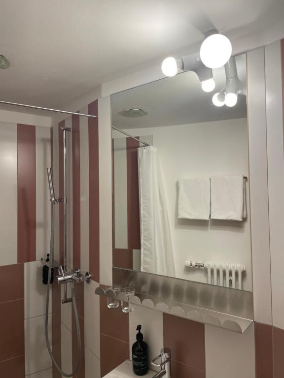 Koupelna v ubytování Hotel Adler Garni