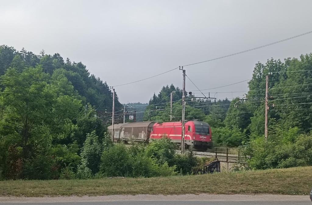 Příroda nedaleko penzionu