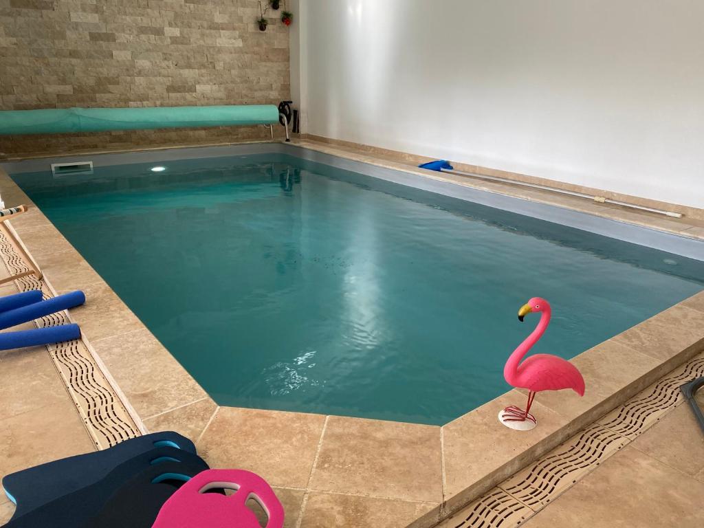 Bazén v ubytování Les 4 Saisons Piscine intérieure nebo v jeho okolí