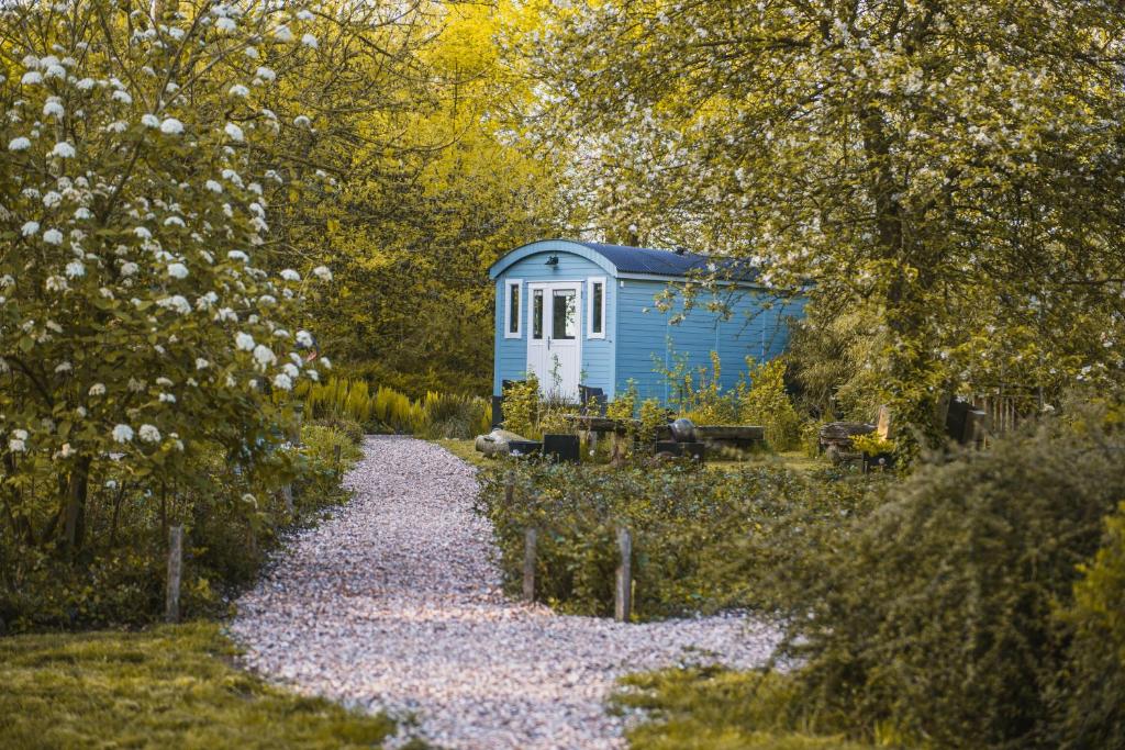 un cobertizo azul en medio de un camino de grava en Tiny Houses Bij De Compagnons en Waskemeer