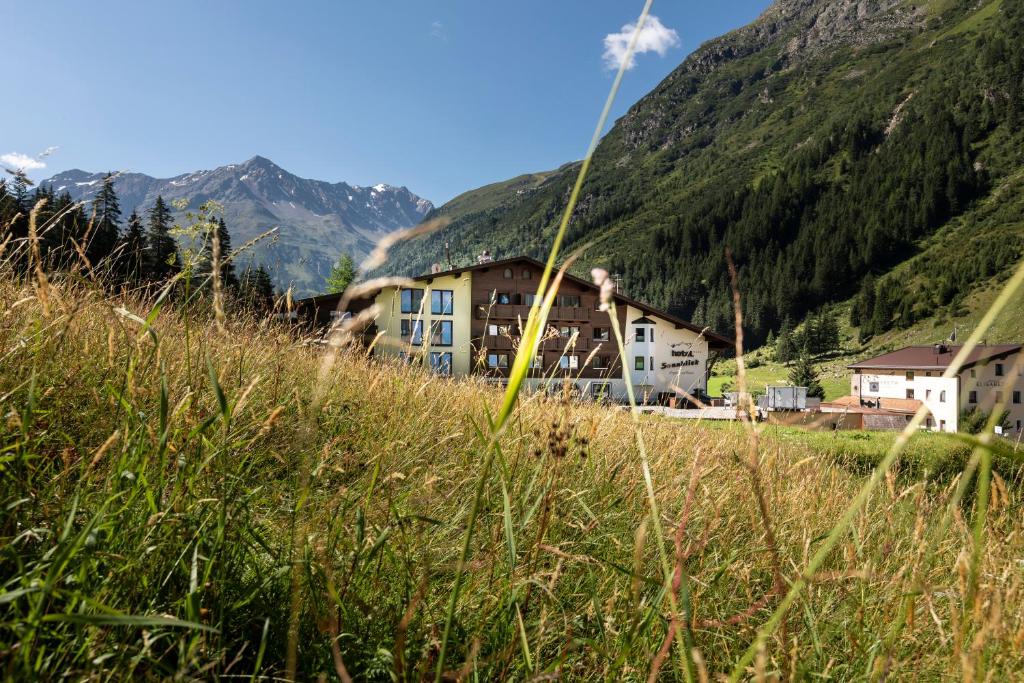 a village in the mountains with tall grass and buildings at GenussHotel Sonnblick in Sankt Leonhard im Pitztal
