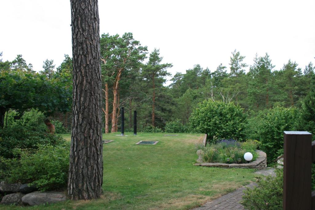 Zahrada ubytování Natura Sauna