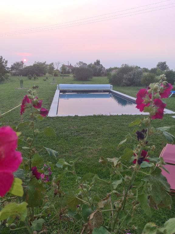 une piscine dans une cour fleurie dans l'établissement charmant logement à la campagne, à Gazaupouy