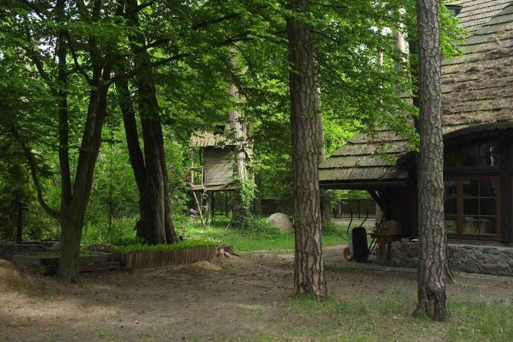 an old house in the woods with trees at Leśny kasztel pod sosnami. Pokój w koronach drzew. in Milanówek
