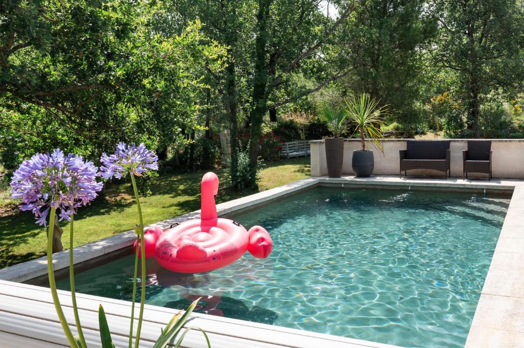 een zwembad met een roze opblaasbare eend in het water bij Maison d’Etienne in Lacoste