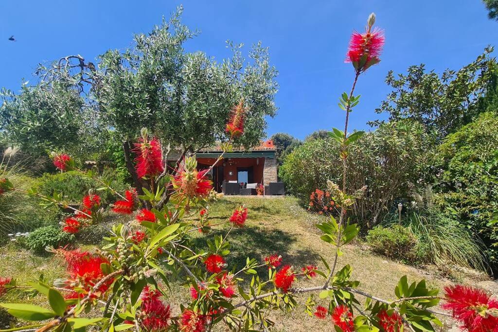 un jardin avec des fleurs rouges en face d'une maison dans l'établissement Villa pour 5 personnes avec jardin et piscine privée, à Villeneuve-Loubet