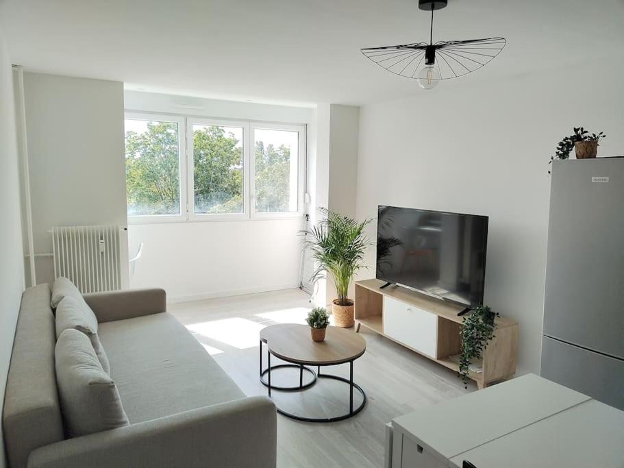a living room with a couch and a tv at KEZA's Apartment - Strasbourg in Strasbourg