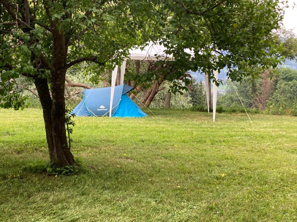 A garden outside Camping f Selbstversorger Gut Jägerhof adults only