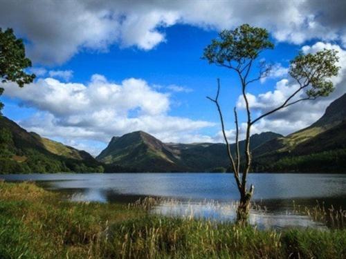 The Westmorland Inn - Resim 10