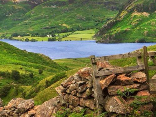 The Westmorland Inn - Resim 11