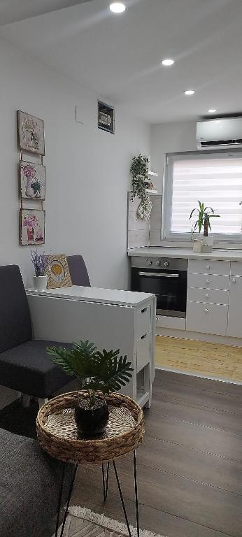 Predel za sedenje v nastanitvi Queen Apartmančić