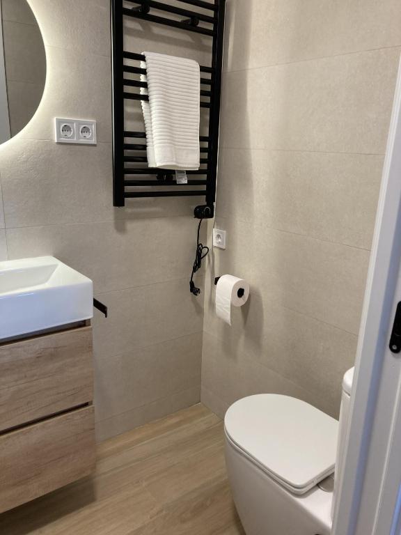 A bathroom at Bravo Murillo Apartments