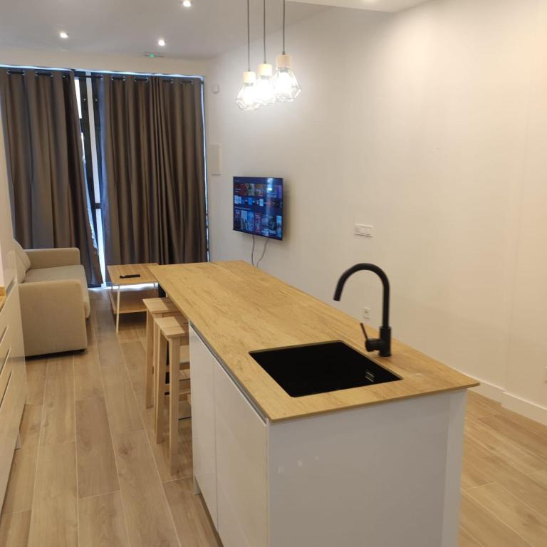 cocina con fregadero y encimera en AV. Asturias Apartamento, en Madrid