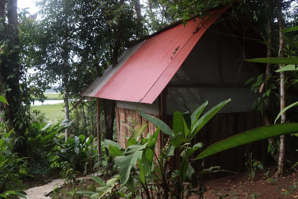 Zahrada ubytování Konsenda Bocas del Toro