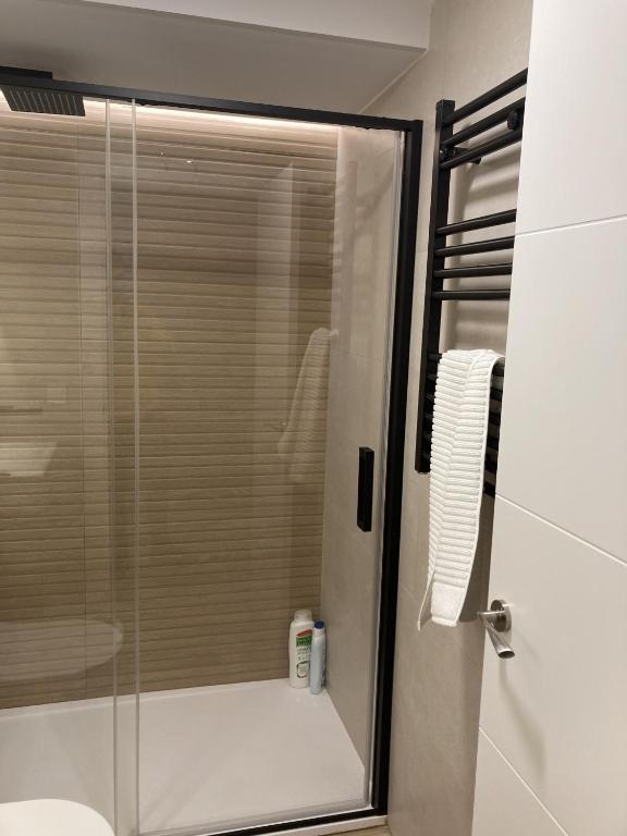 A bathroom at Bravo Murillo Apartments