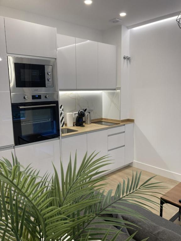 A kitchen or kitchenette at Bravo Murillo Apartments