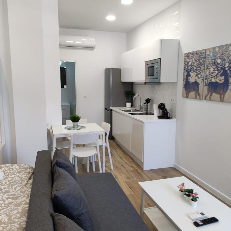 Hotel Manzanares Apartments, a living room with a couch and a kitchen at Manzanares Apartments in Madrid