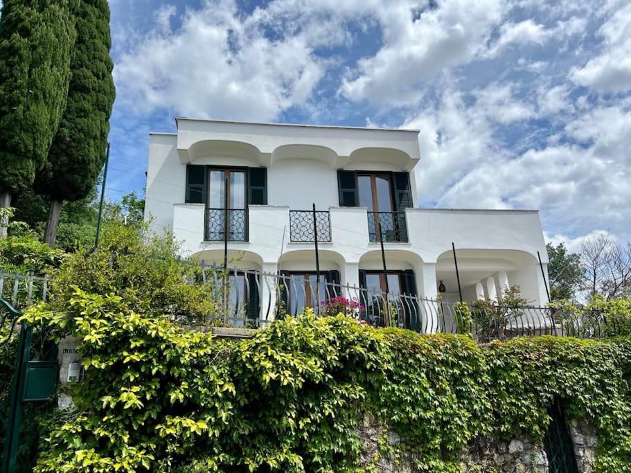 ein weißes Haus mit einer Hecke davor in der Unterkunft Villa con vista Sestri Levante in Sestri Levante