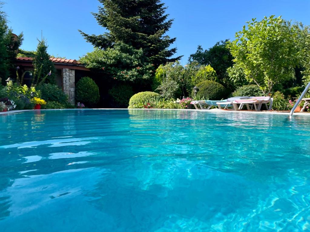 een groot zwembad met blauw water in een tuin bij Эко отель Прованс Одесса in Odessa