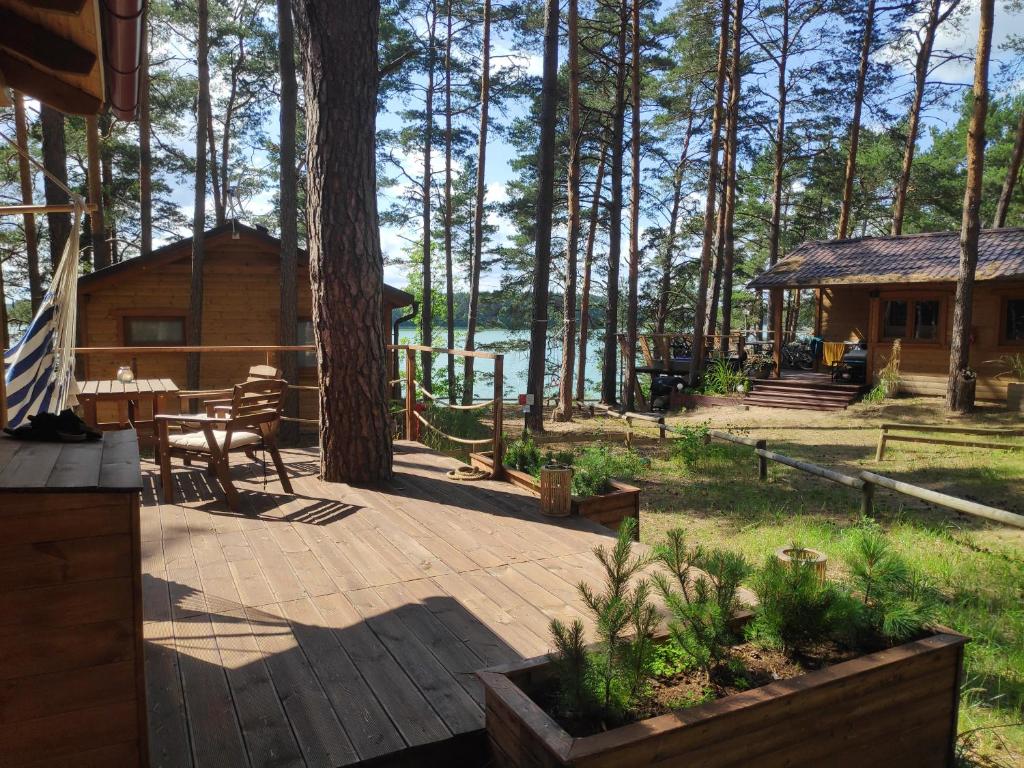 um pátio com um chalé de madeira na floresta em Zakątek Wdzydze z widokiem na jezioro -domek nr 19 em Borsk
