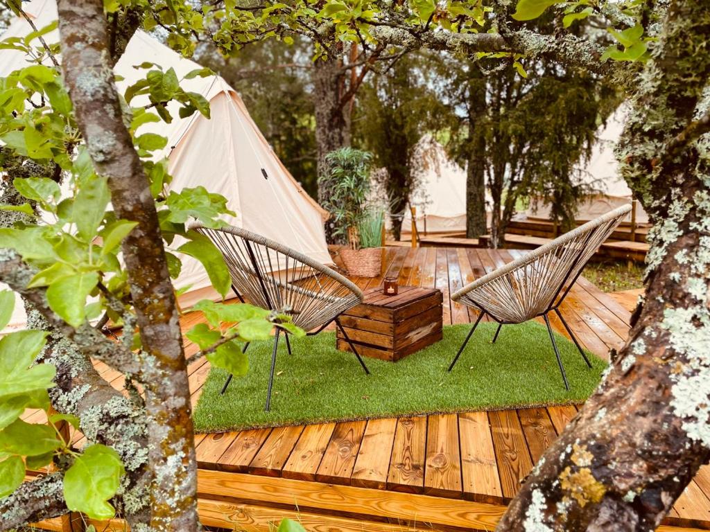 Fotografie z fotogalerie ubytování koh tenta a b&b in a luxury glamping style v destinaci Mariefred