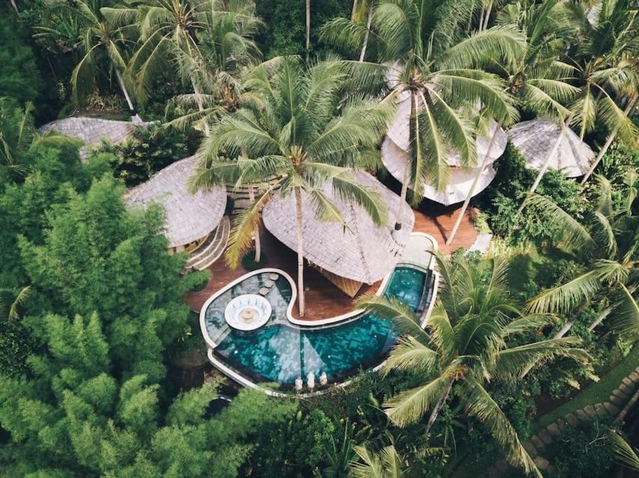 einen Luftblick auf ein Resort mit einem Pool in der Unterkunft Harmony House, Bamboo House with Pool view in Bringkit