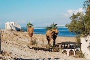 a beach with two palm trees and the ocean at Rose Dead Sea Neve Zohar in Neve Zohar
