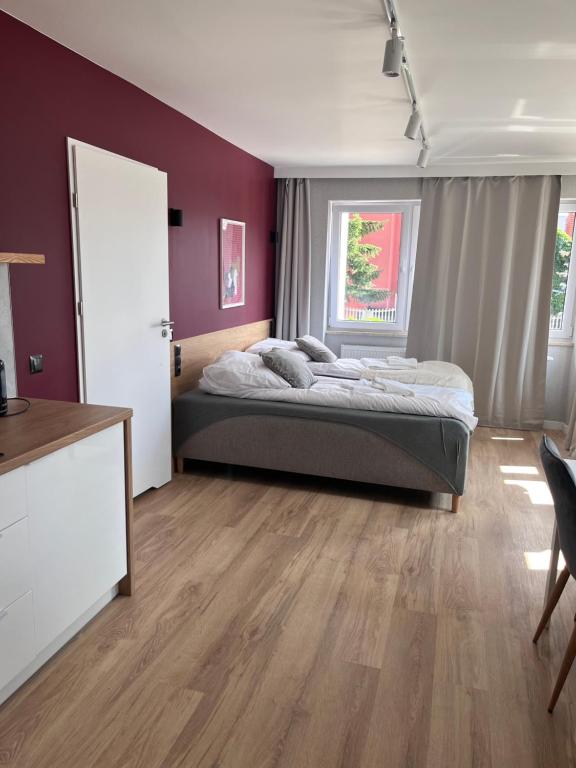 Spacious studio bedroom with double bed, burgundy accent wall, kitchenette and natural light.