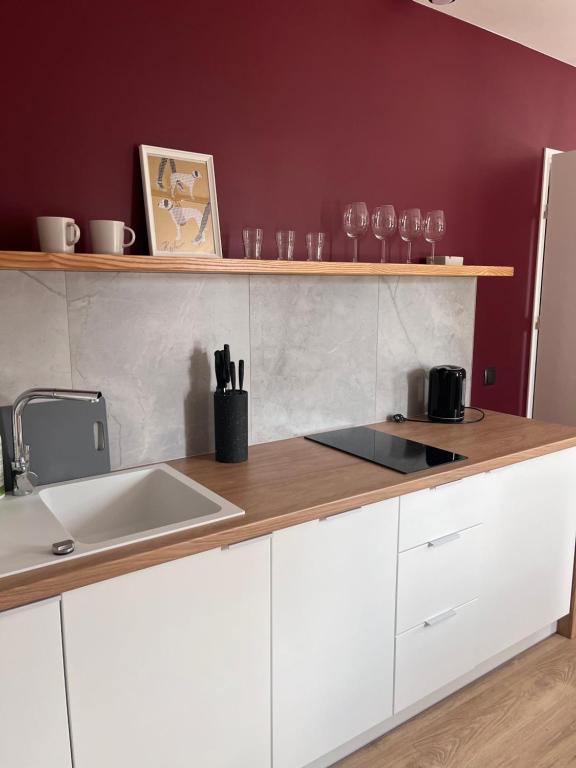 Apartamenty Skórzewo-Lotnisko MTP Tor Poznań