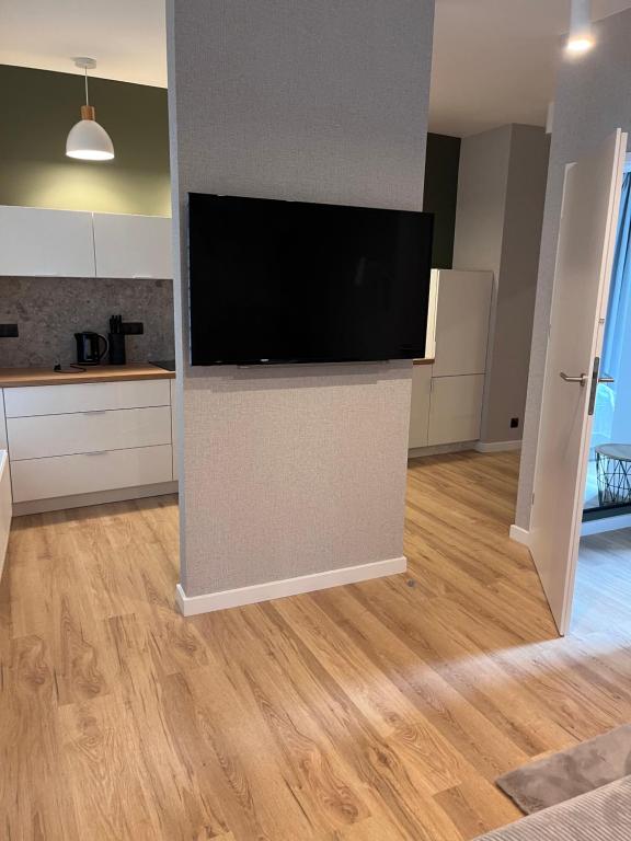 Open-plan living area with wall-mounted TV on partition, wood flooring and kitchenette beyond.