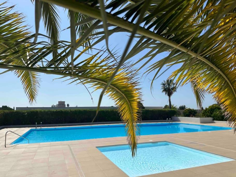 une grande piscine à côté d'un palmier dans l'établissement Elégant studio 4P neuf 2 *, piscine, mer à 150m, à Bandol