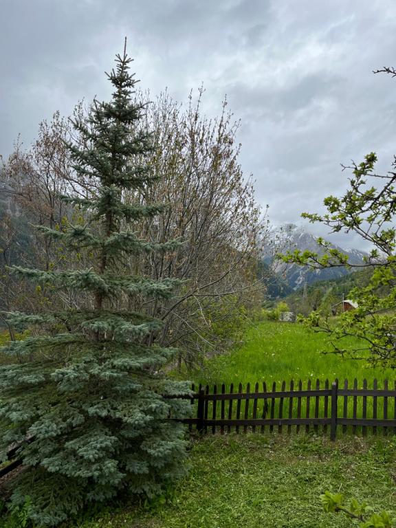 Les Blancs的住宿－En pleine nature avec jardin，围栏旁田野上的松树