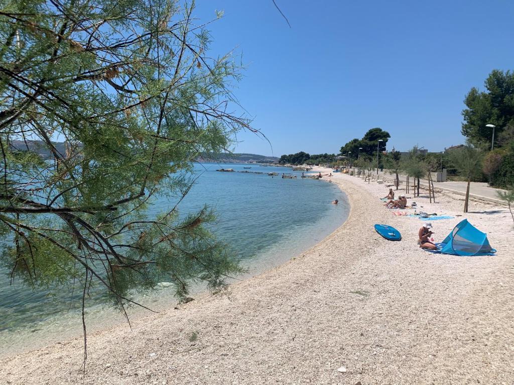 En strand ved eller i nærheten av leiligheten