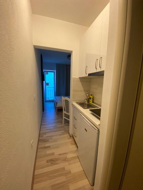 Kuchyňa alebo kuchynka v ubytovaní Apart-pansion Promajna