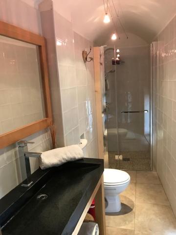 Koupelna v ubytování Mas le Nogier Gites Apartments