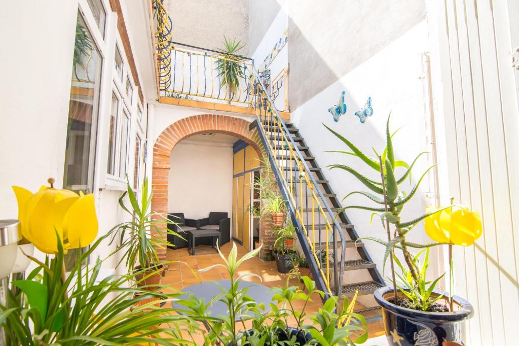 spiralne schody w domu z roślinami w obiekcie Volets Bleus et Briques Rouges w mieście Albi